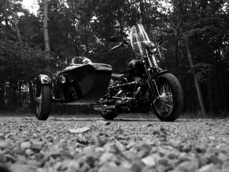 Crossboneswithsidecar