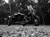 Cliquez ici pour voir l'image (Crossboneswithsidecar.jpg)