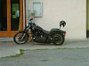 Cliquez ici pour voir l'image (IMG00137-20090501-1944.jpg)