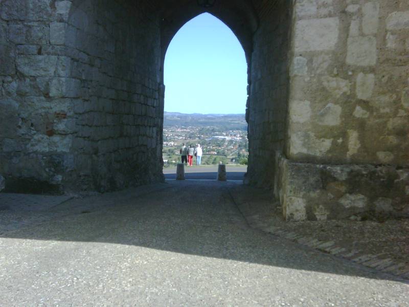 IMG01018-20090906-1013