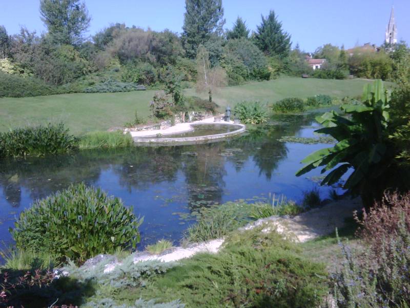 IMG01030-20090906-1111