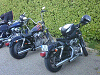 Cliquez ici pour voir l'image (IMG00254-20090508-1906.jpg)