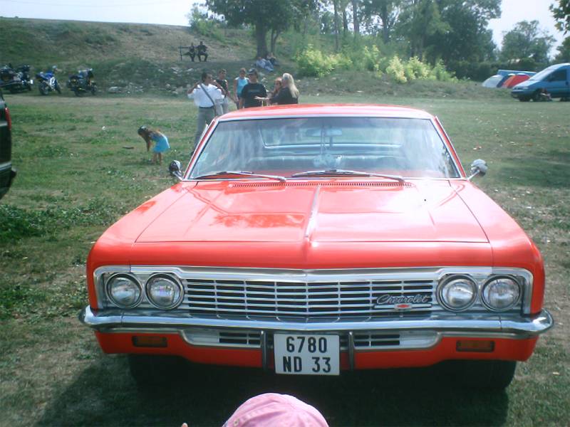 IMG 0011