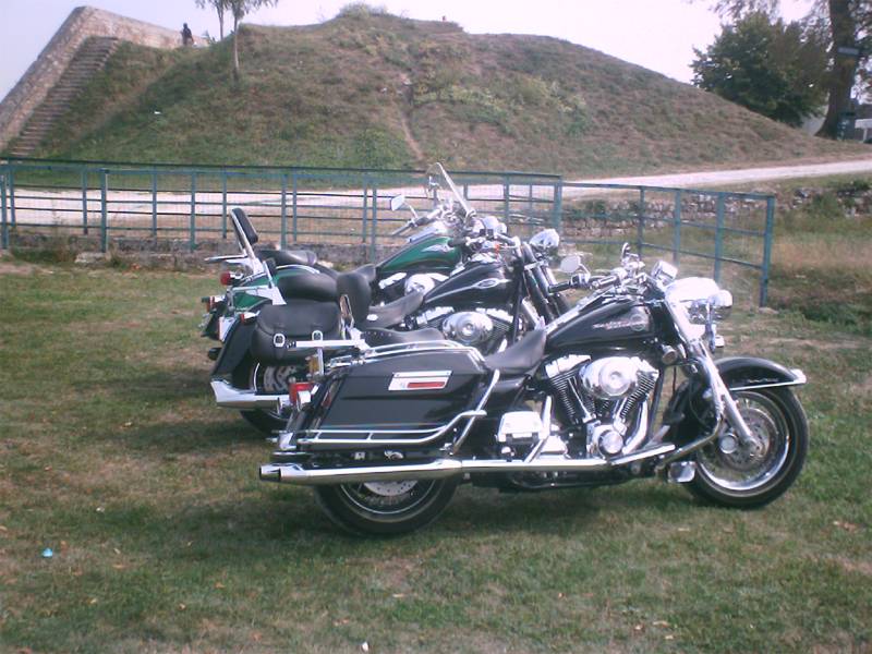 IMG 0016