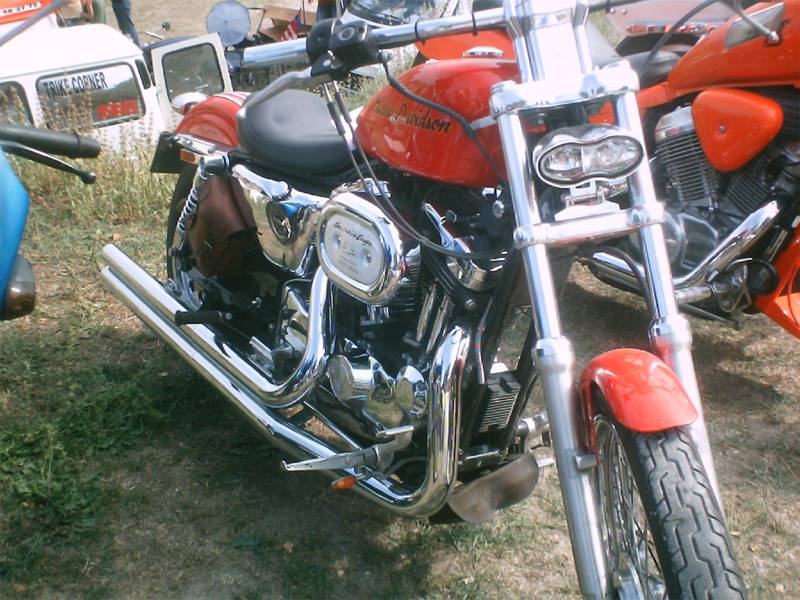 IMG 0029