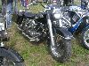 Cliquez ici pour voir l'image (DSCN7574.jpg)