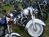 Cliquez ici pour voir l'image (DSCN7583.jpg)