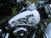 Cliquez ici pour voir l'image (DSCN7584.jpg)
