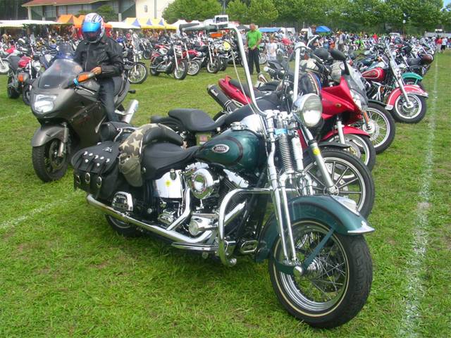 DSCN7586