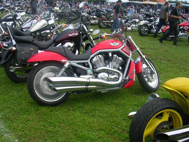 DSCN7601