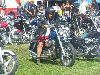 Cliquez ici pour voir l'image (DSCN7623.jpg)