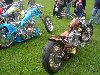 Cliquez ici pour voir l'image (DSCN7663.jpg)