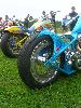 Cliquez ici pour voir l'image (DSCN7665.jpg)
