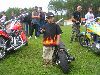 Cliquez ici pour voir l'image (DSCN7669.jpg)