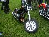Cliquez ici pour voir l'image (DSCN7673.jpg)
