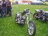 Cliquez ici pour voir l'image (DSCN7677.jpg)