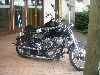 Cliquez ici pour voir l'image (DSCN7690.jpg)
