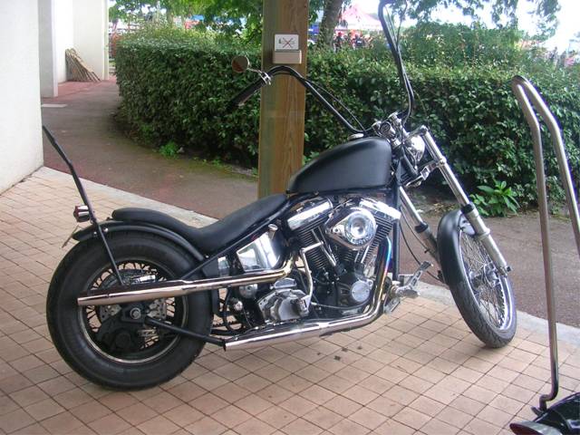 DSCN7691