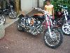 Cliquez ici pour voir l'image (DSCN7694.jpg)