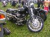 Cliquez ici pour voir l'image (DSCN7719.jpg)