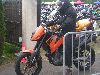 Cliquez ici pour voir l'image (DSCN7733.jpg)