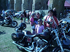 Cliquez ici pour voir l'image (P1010663.JPG)