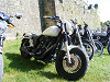 Cliquez ici pour voir l'image (DSCF1673.JPG)