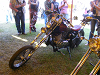 Cliquez ici pour voir l'image (DSCF1689.JPG)