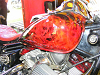 Cliquez ici pour voir l'image (DSCF1692.JPG)