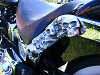 Cliquez ici pour voir l'image (DSCF1698.JPG)