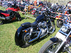 Cliquez ici pour voir l'image (DSCF1704.JPG)