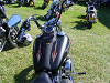 Cliquez ici pour voir l'image (DSCF1708.JPG)