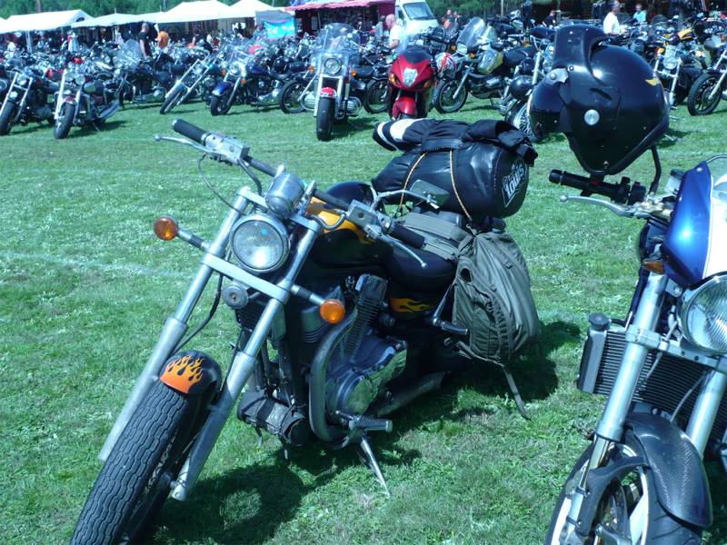 AEHS 2007 09