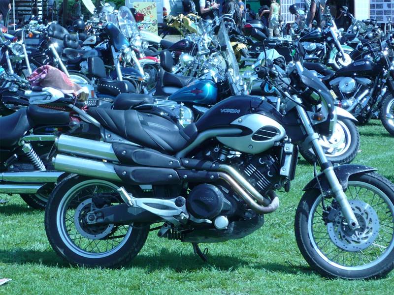 AEHS 2007 14