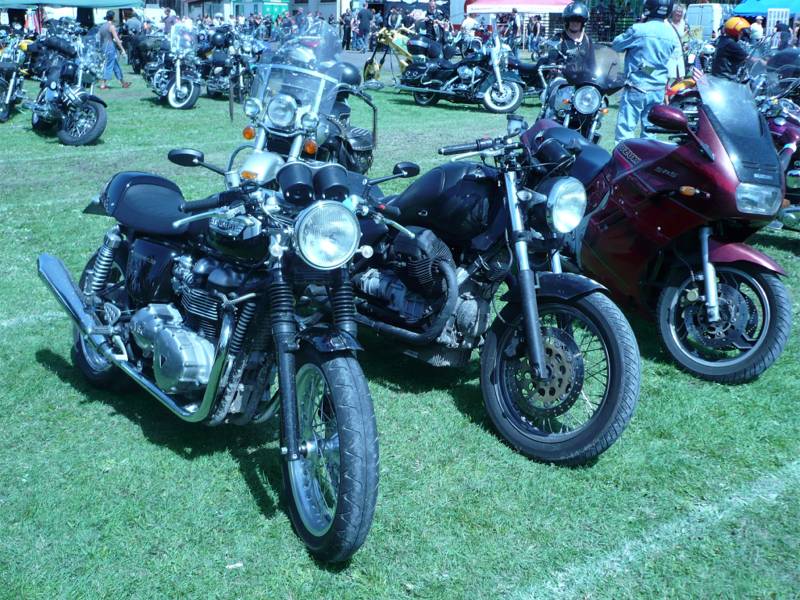AEHS 2007 16