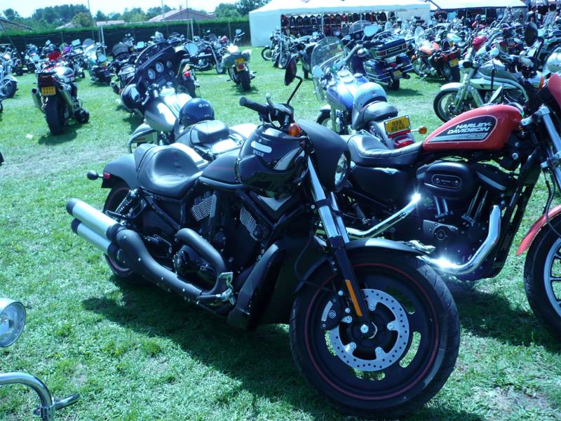 AEHS 2007 38