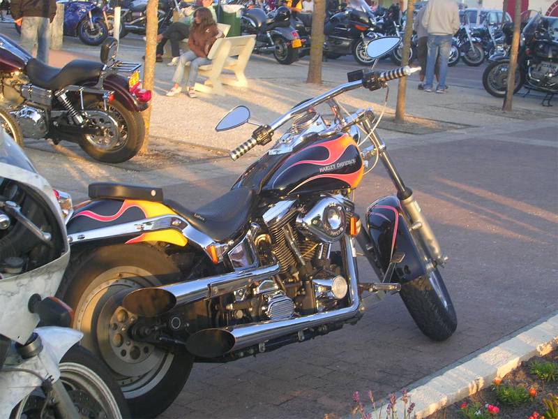 webDSCN0334