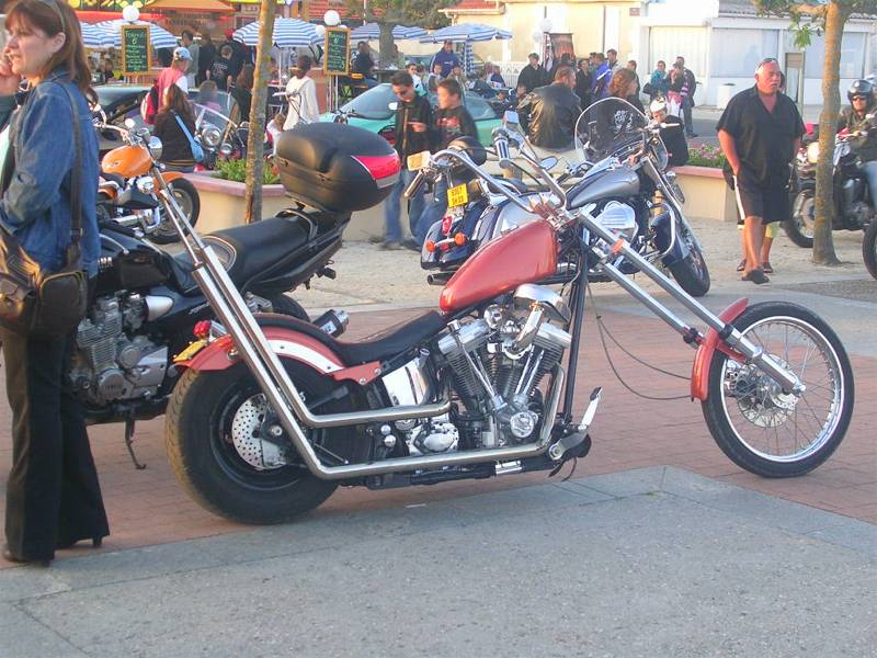 webDSCN0336
