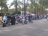 Cliquez ici pour voir l'image (webDSCN0393.jpg)