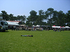 Cliquez ici pour voir l'image (webDSCN0450.jpg)