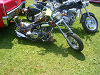 Cliquez ici pour voir l'image (webDSCN0453.jpg)