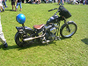Cliquez ici pour voir l'image (webDSCN0455.jpg)