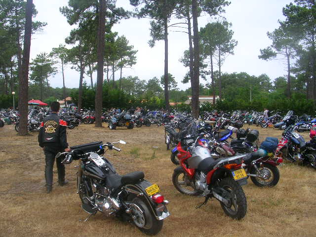 DSCN6402