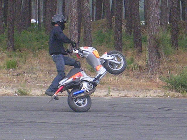 DSCN6461