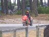 Cliquez ici pour voir l'image (DSCN6463.JPG)