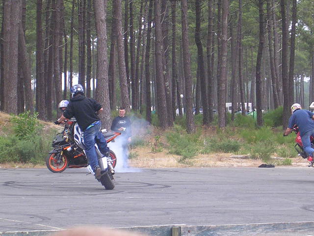 DSCN6481
