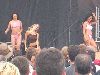 Cliquez ici pour voir l'image (DSCN6507.JPG)