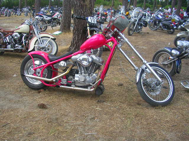 DSCN6512