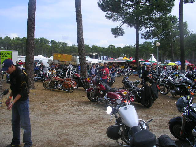 DSCN6514