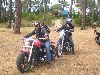 Cliquez ici pour voir l'image (DSCN6515.JPG)